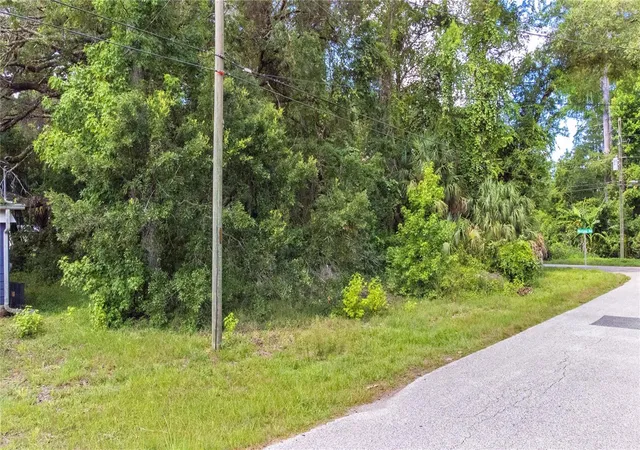 2nd image of 6416 Theresa Ave, Weeki Wachee, FL 34607 | MLS# TB8526485