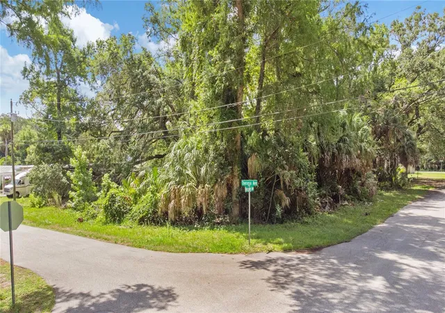 5th image of 6416 Theresa Ave, Weeki Wachee, FL 34607 | MLS# TB8526485