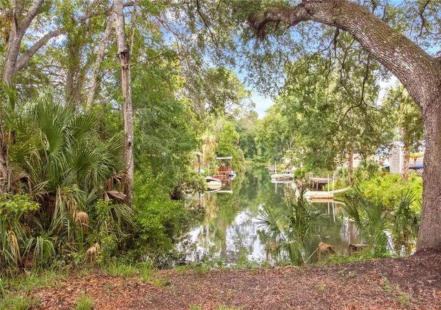10th image of 6416 Theresa Ave, Weeki Wachee, FL 34607 | MLS# TB8526485
