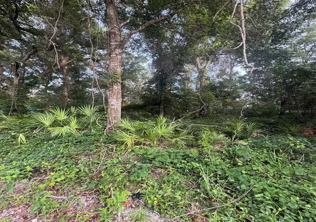 Photo 1 of Land for sale at 472 Ne Avenue #200, Old Town, FL 32680 | MLS# GC541754 | Listing updated on 2026-08-20