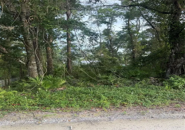 Photo 2 of Land for sale at 472 Ne Avenue #200, Old Town, FL 32680 | MLS# GC541754 | Listing updated on 2026-08-20