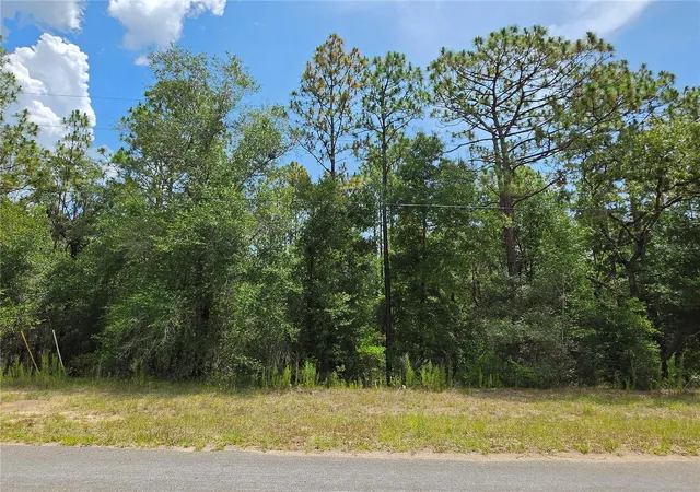Homes for sale in Dunnellon, FL | 8425 N Foresome Wy, Dunnellon, FL 34434 | MLS# OM728013