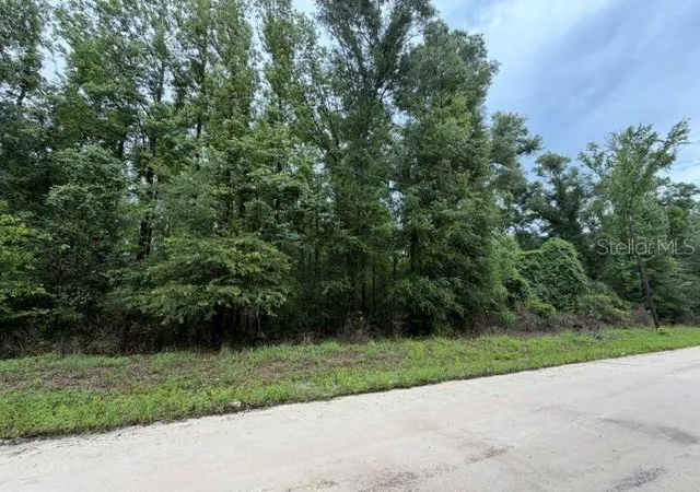 Homes for sale in Old Town, FL | Ne 312th Ave, Old Town, FL 32680 | MLS# GC541762