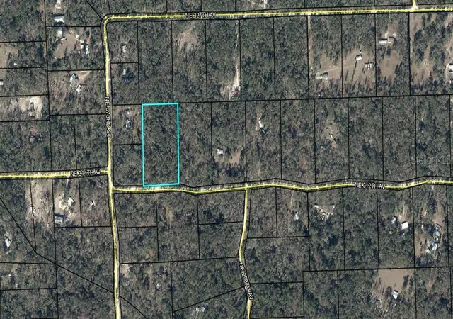 Homes for sale in Old Town, FL | Ne 312th Ave, Old Town, FL 32680 | MLS# GC541762