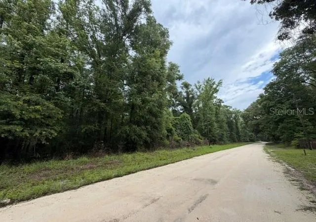 Homes for sale in Old Town, FL | Ne 312Th Ave, Old Town, FL 32680 | MLS# GC541762