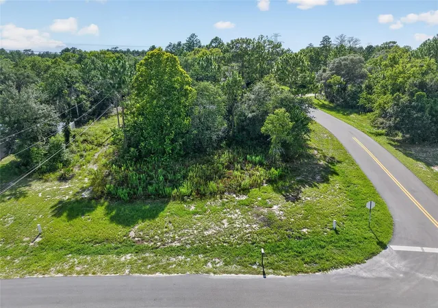 Photo 3 of Land for sale at 0000 SW 155th Street Rd, Ocala, FL 34473 | MLS# OM728023 | Listing updated on 2026-09-29