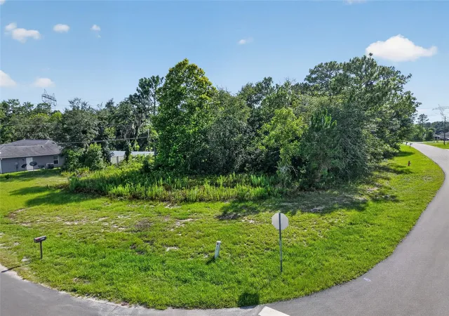 Photo 4 of Land for sale at 0000 SW 155th Street Rd, Ocala, FL 34473 | MLS# OM728023 | Listing updated on 2026-09-29