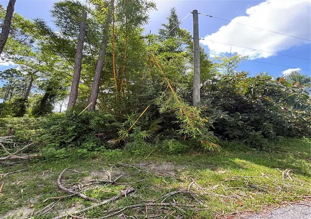 Photo 3 of Land for sale at Renault Cir, North Port, FL 34291 | MLS# D6148006 | Listing updated on 2026-07-10