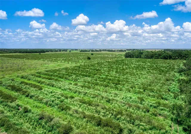 Homes for sale in Wauchula, FL | 0 Stephens Rd, Wauchula, FL 33873 | MLS# P4939248