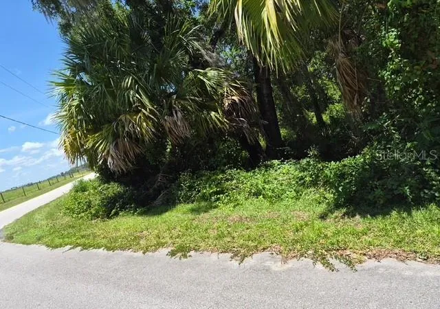 Photo 3 of Land for sale at 69 Southeast, Ocklawaha, FL 32179 | MLS# S5153231 | Listing updated on 2026-09-16