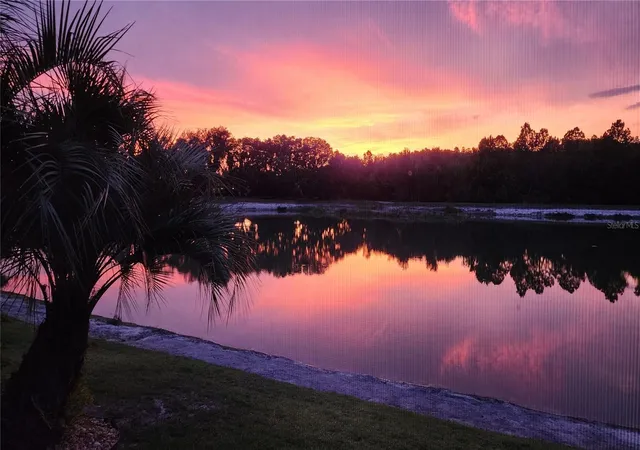 2nd image of 4907 Pointe O Woods Dr, Wesley Chapel, FL 33543 | MLS# TB8526776