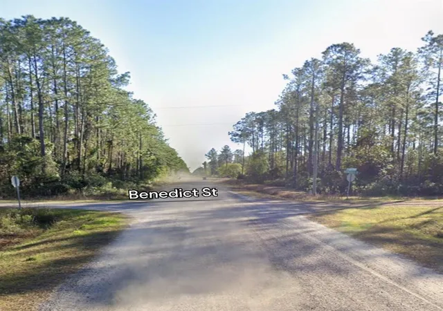 Homes for sale in Hastings, FL | 10460 Dillon Ave, Hastings, FL 32145 | MLS# A4699327