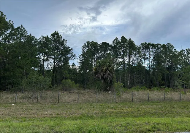 Homes for sale in Morriston, FL | 0000 Se 60th Ave, Morriston, FL 32668 | MLS# OM728069