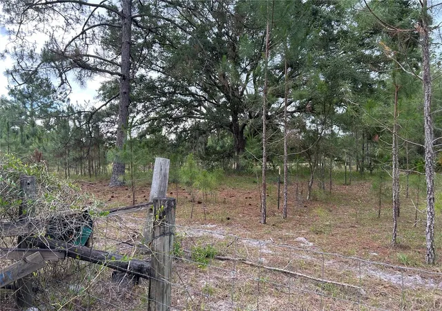 Homes for sale in Morriston, FL | 0000 Se 60th Ave, Morriston, FL 32668 | MLS# OM728069