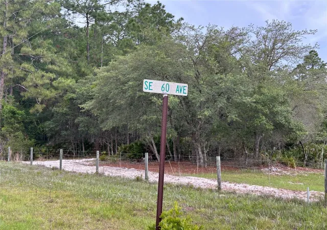 Homes for sale in Morriston, FL | 0000 Se 60th Ave, Morriston, FL 32668 | MLS# OM728069