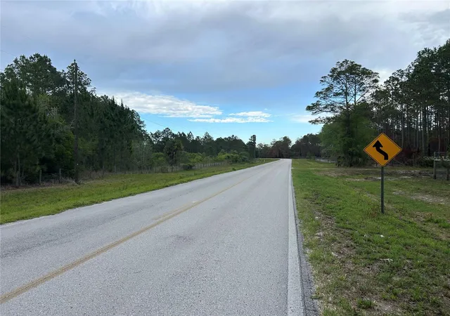 Homes for sale in Morriston, FL | 0000 Se 60Th Ave, Morriston, FL 32668 | MLS# OM728069