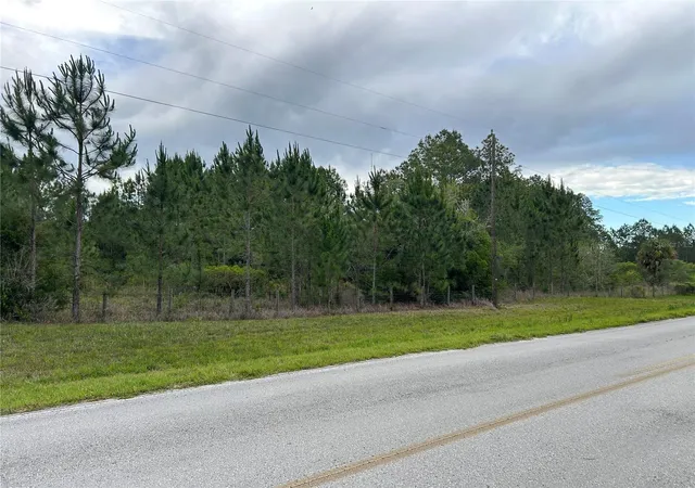 Homes for sale in Morriston, FL | 0000 Se 60Th Ave, Morriston, FL 32668 | MLS# OM728069