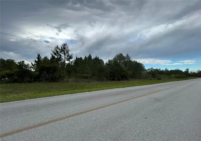 Homes for sale in Morriston, FL | 0000 Se 60Th Ave, Morriston, FL 32668 | MLS# OM728069
