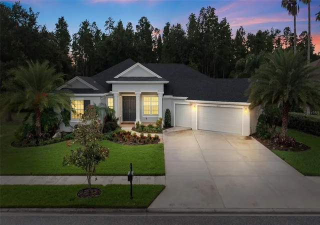 53rd image of 20454 Lace Cascade Rd, Land O Lakes, FL 34637 | MLS# TB8526974