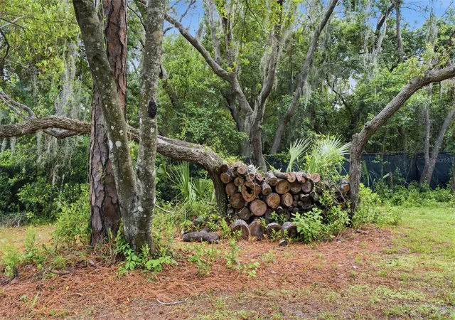 51st image of 6706 Waldorf Ct, New Port Richey, FL 34655 | MLS# W7887450