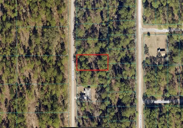 Homes for sale in Dunnellon, FL | 00 Sw Buena Vista Rd, Dunnellon, FL 34431 | MLS# OM728082