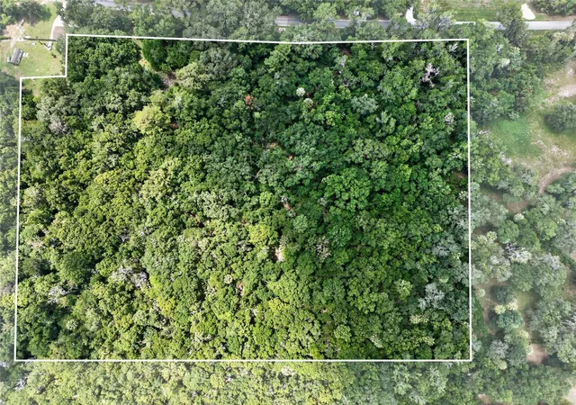 3rd image of 5725 Nw 219Th Street Rd, Micanopy, FL 32667 | MLS# GC541790