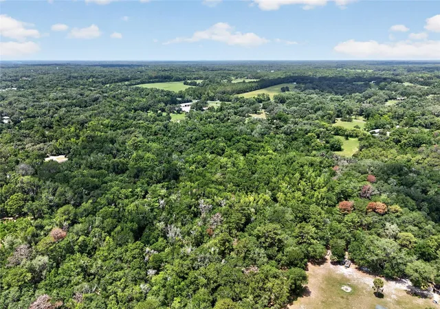 4th image of 5725 Nw 219Th Street Rd, Micanopy, FL 32667 | MLS# GC541790