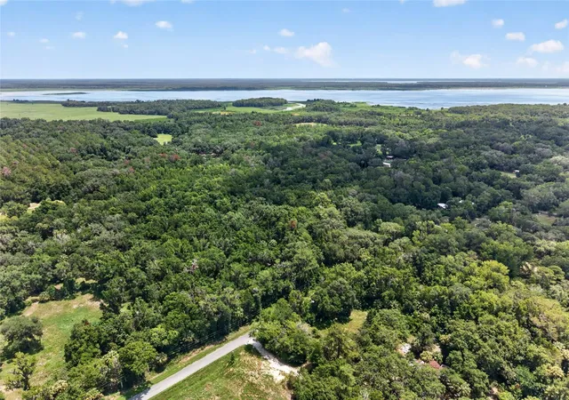 5th image of 5725 Nw 219Th Street Rd, Micanopy, FL 32667 | MLS# GC541790
