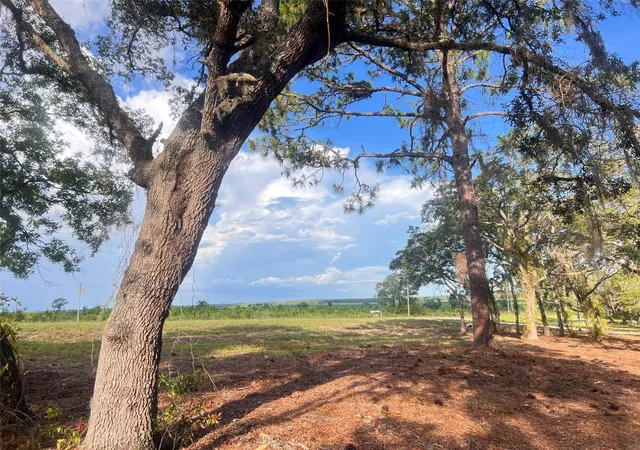 Land for sale at Levy St, WILLISTON, FL 32696 | MLS# OM728097