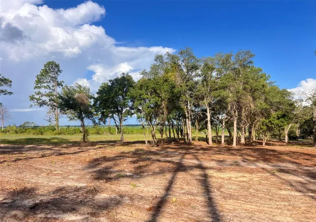Photo 1 of Land for sale at Levy St, Williston, FL 32696 | MLS# OM728097 | Listing updated on 2026-09-15