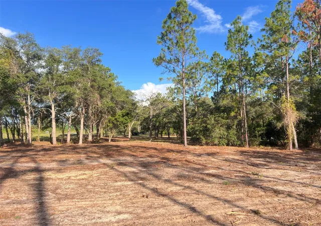 Photo 2 of Land for sale at Levy St, Williston, FL 32696 | MLS# OM728097 | Listing updated on 2026-09-15