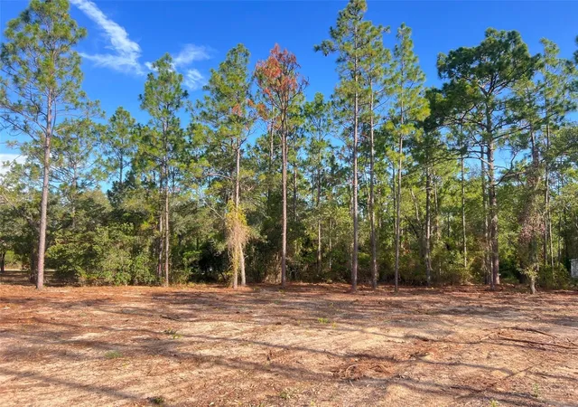 Photo 3 of Land for sale at Levy St, Williston, FL 32696 | MLS# OM728097 | Listing updated on 2026-09-15