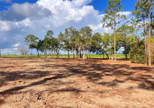 Photo 4 of Land for sale at Levy St, Williston, FL 32696 | MLS# OM728097 | Listing updated on 2026-09-15