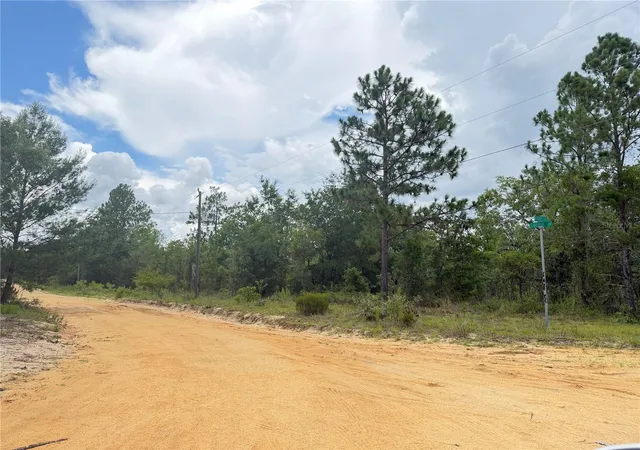 Photo 1 of Land for sale at 100 Linda Ln, Interlachen, FL 32148 | MLS# O6423422 | Listing updated on 2026-07-20