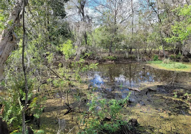 2nd image of Tbd Bell Lake Rd, Land O Lakes, FL 34639 | MLS# TB8527189