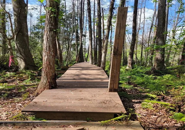 3rd image of Tbd Bell Lake Rd, Land O Lakes, FL 34639 | MLS# TB8527189