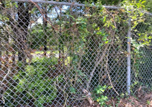 Photo 4 of Land for sale at Normandy Blvd, Jacksonville, FL 32221 | MLS# TB8527195 | Listing updated on 2026-08-20