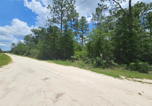 Homes for sale in Williston, FL | 0000 Ne 40th Ln, Williston, FL 32696 | MLS# OM728124