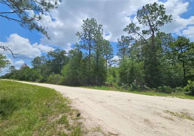 Homes for sale in Williston, FL | 0000 Ne 40Th Ln, Williston, FL 32696 | MLS# OM728124