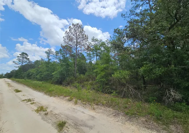 Homes for sale in Williston, FL | 0000 Ne 40Th Ln, Williston, FL 32696 | MLS# OM728124