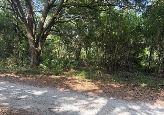 Homes for sale in Webster, FL | 0000 Cr 738, Webster, FL 33597 | MLS# G5114822