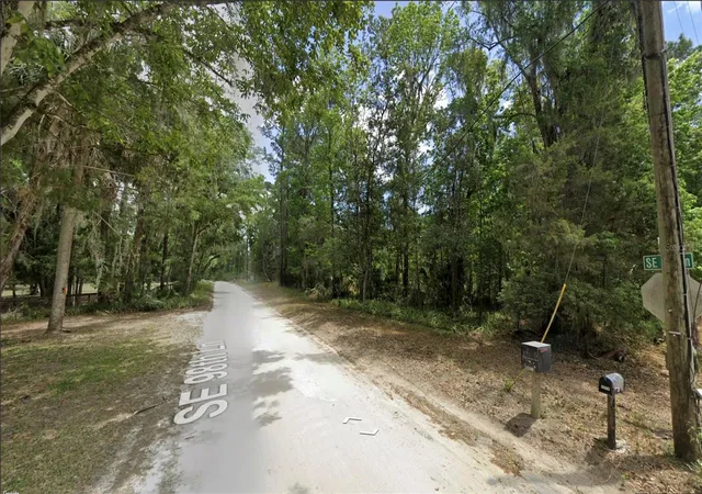 Photo 3 of Land for sale at Tbd Se 98th Lane, Belleview, FL 34420 | MLS# OM728131 | Listing updated on 2026-07-17