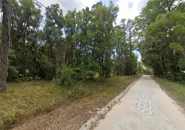 4th image of Tbd Se 98th Ln, Belleview, FL 34420 | MLS# OM728131