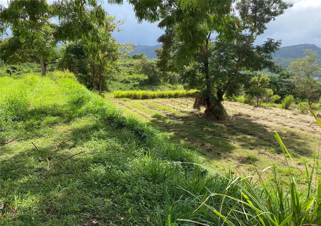 Homes for sale in Trujillo Alto, PR | Quebrada Grande, Trujillo Alto, PR 00976 | MLS# PR9122647