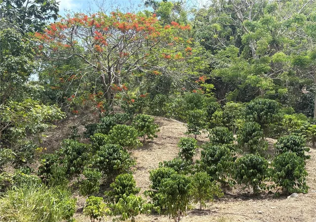 Homes for sale in Trujillo Alto, PR | Quebrada Grande, Trujillo Alto, PR 00976 | MLS# PR9122647