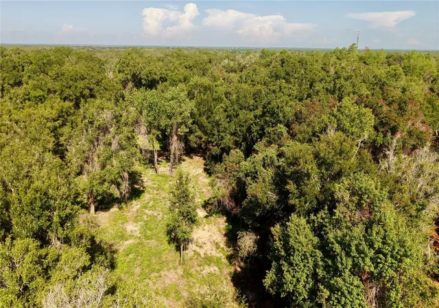 33rd image of 450 Old Geneva Rd, Geneva, FL 32732 | MLS# W7887480
