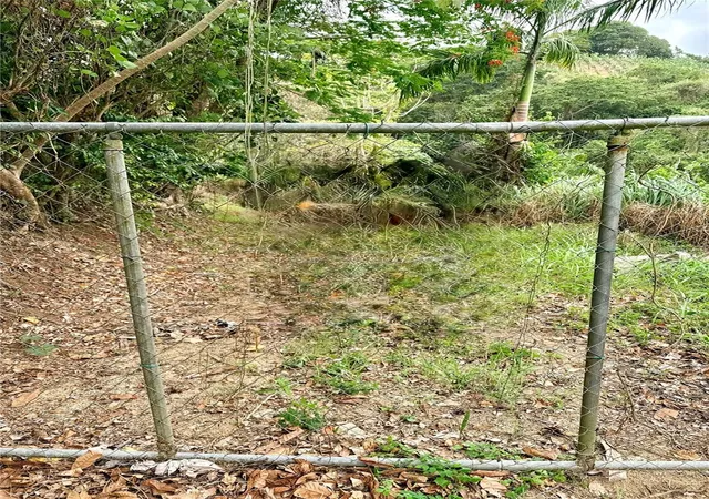 Photo 2 of Land for sale at Km 09 Route 759, Maunabo, PR 00707 | MLS# PR9122648 | Listing updated on 2026-07-27