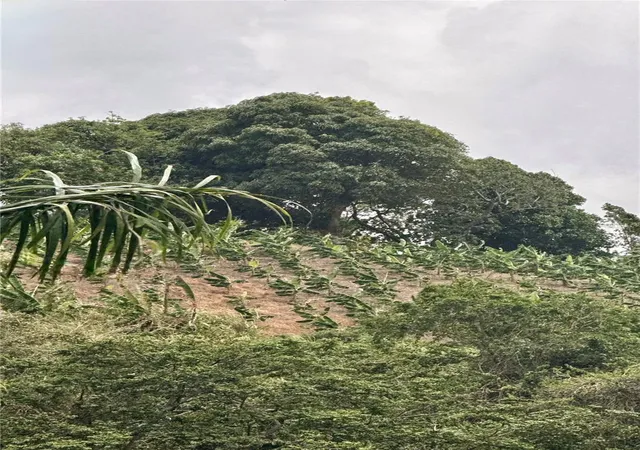 Photo 3 of Land for sale at Km 09 Route 759, Maunabo, PR 00707 | MLS# PR9122648 | Listing updated on 2026-07-27