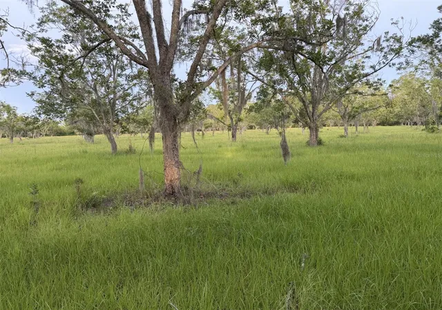 Photo 3 of Land for sale at 17620 Ne 77th Lane, Hawthorne, FL 32640 | MLS# GC541811 | Listing updated on 2026-07-09