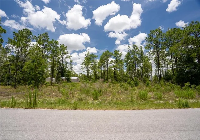 Homes for sale in Williston, FL | Ne 4Th Ln, Williston, FL 32696 | MLS# OM728146